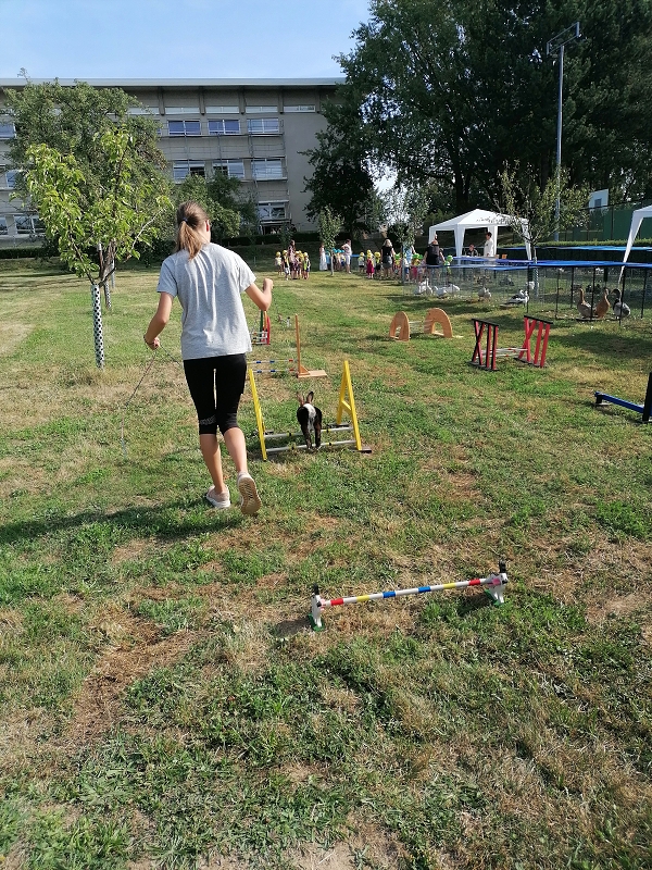 Berušky na výstavě drobného zvířectva