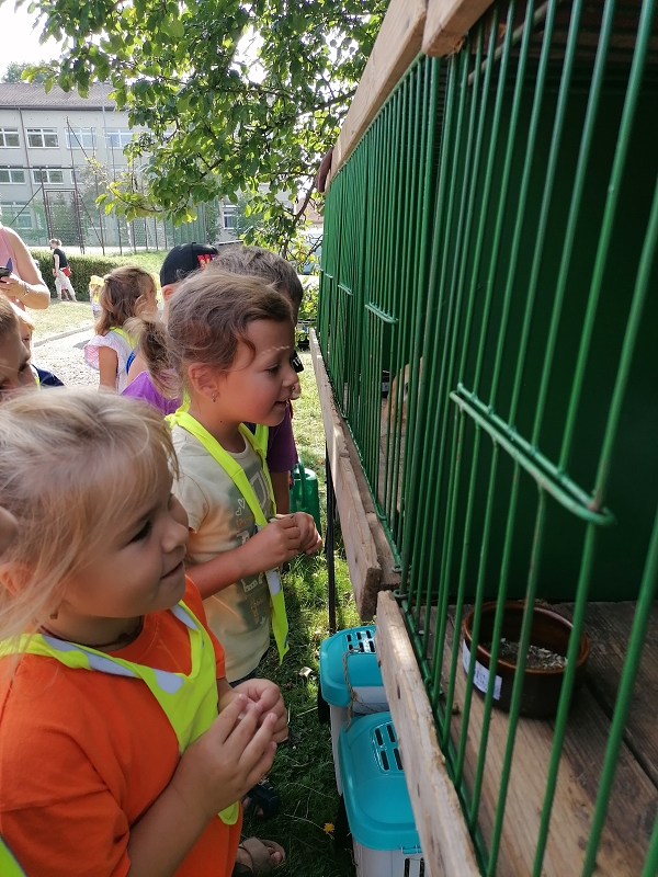 Berušky na výstavě drobného zvířectva