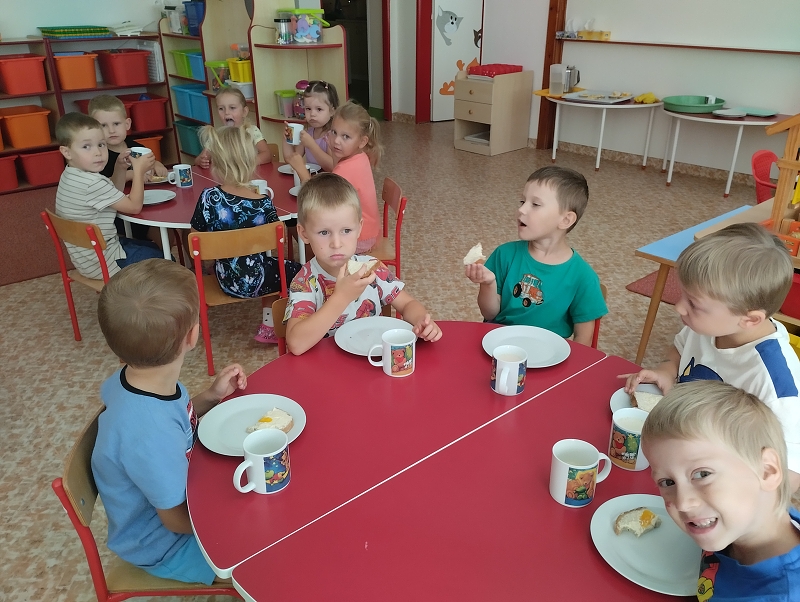 První týden v Koťátkách