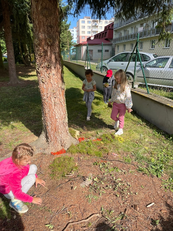 Berušky staví domečky pro ptáčky a broučky