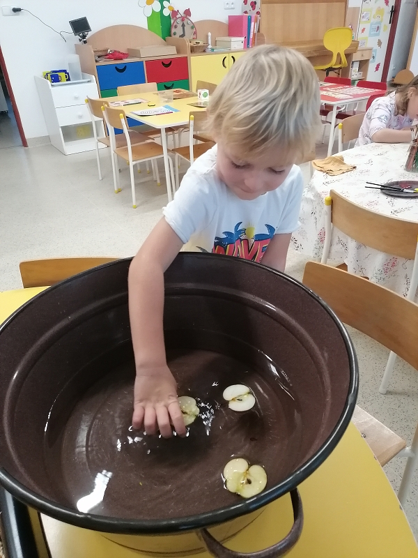 Berušky znají ovoce a zeleninu