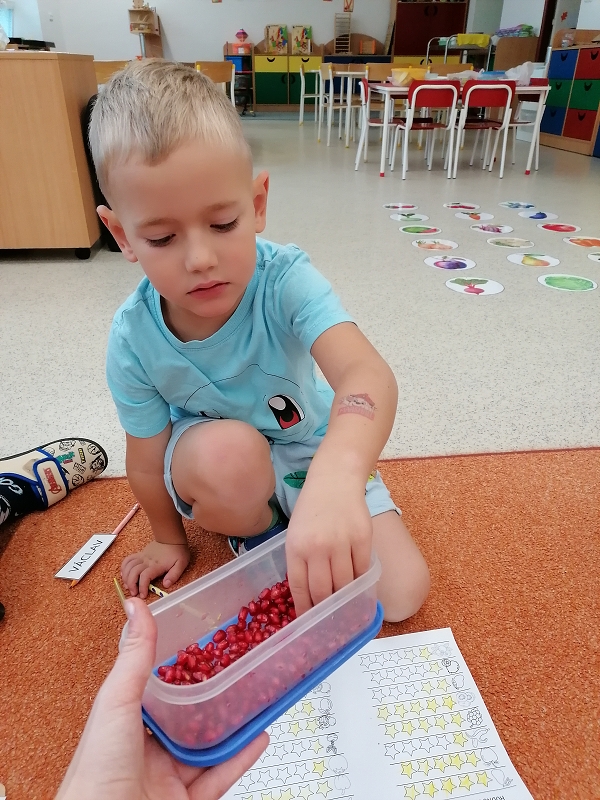 Berušky znají ovoce a zeleninu