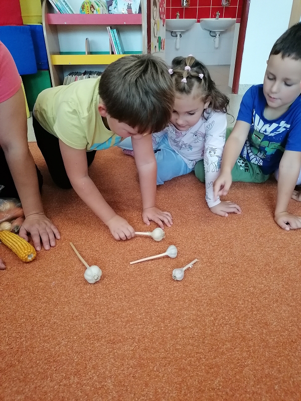 Berušky poznávají zeleninu a ovoce