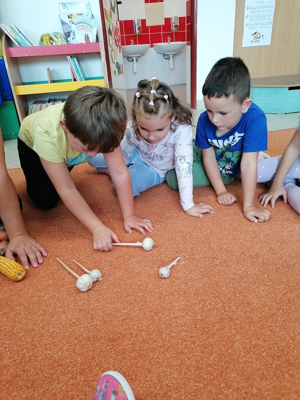 Berušky poznávají zeleninu a ovoce
