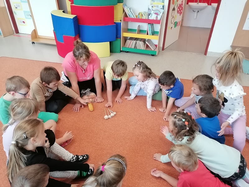 Berušky poznávají zeleninu a ovoce