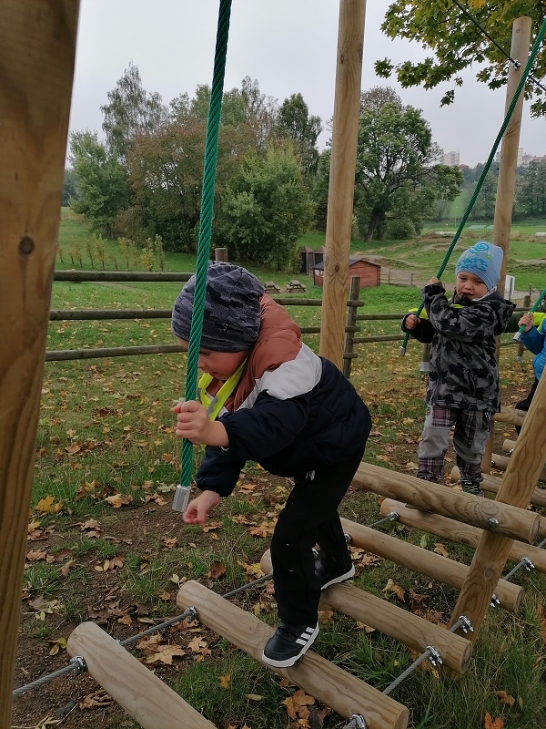 Berušky poznávají zeleninu a ovoce