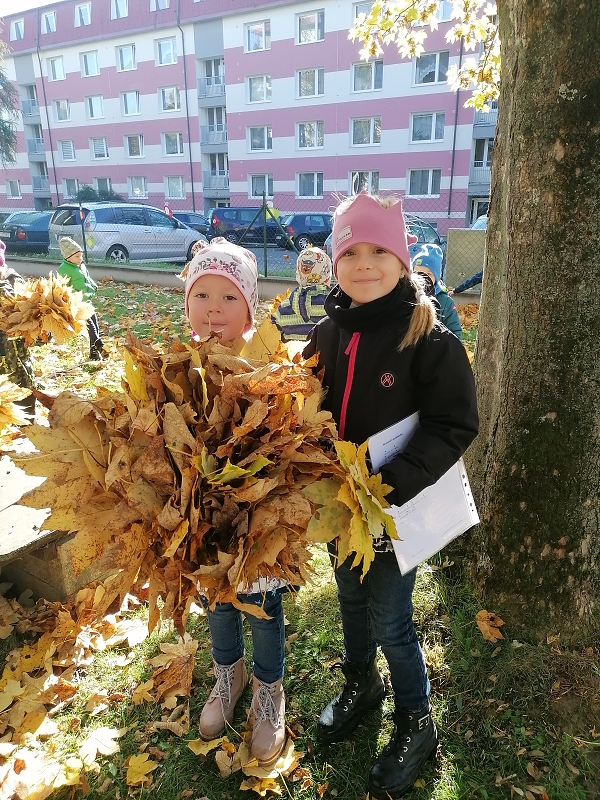 Berušky uspávají broučky
