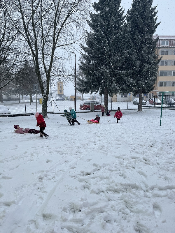 Zajíčci na sněhu