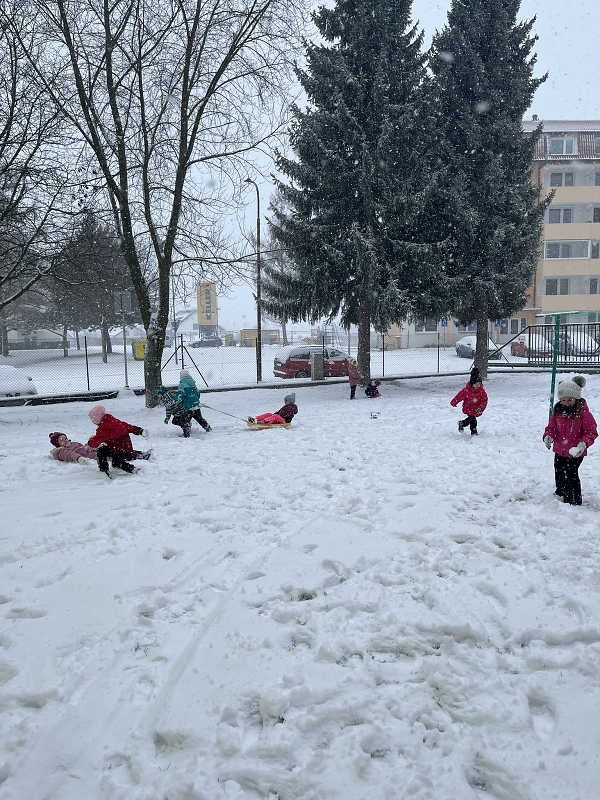 Zajíčci na sněhu