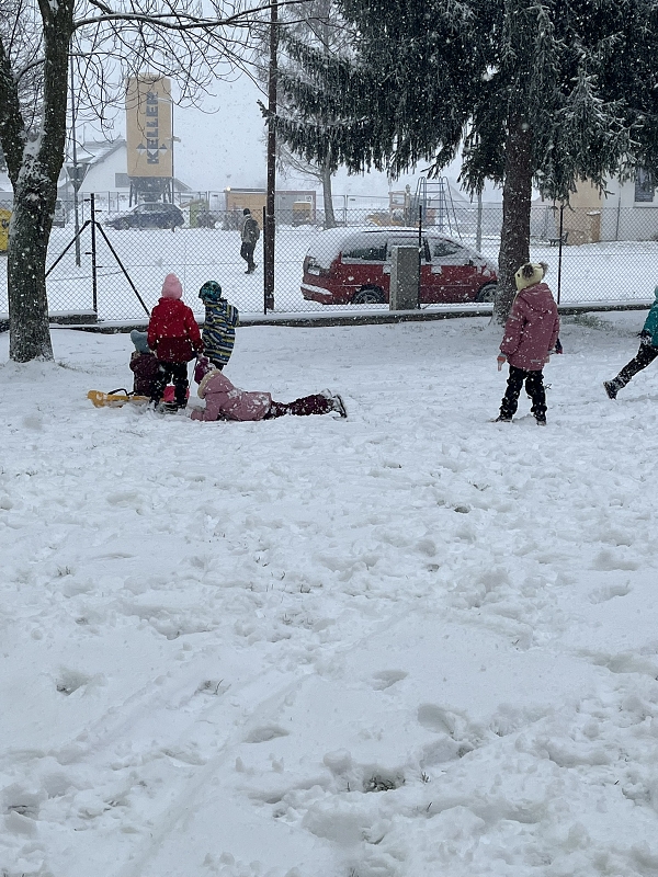 Zajíčci na sněhu