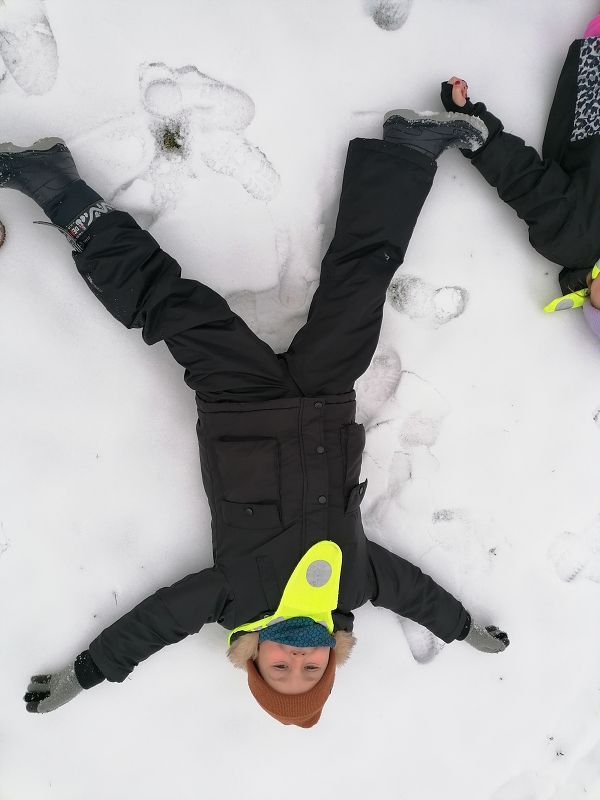 Berušky mají rádi sníh