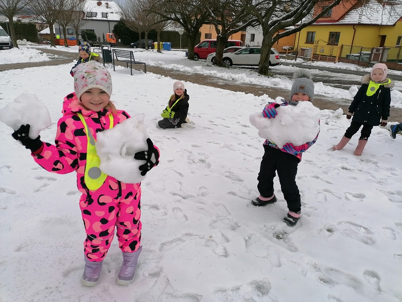 Berušky mají rádi sníh