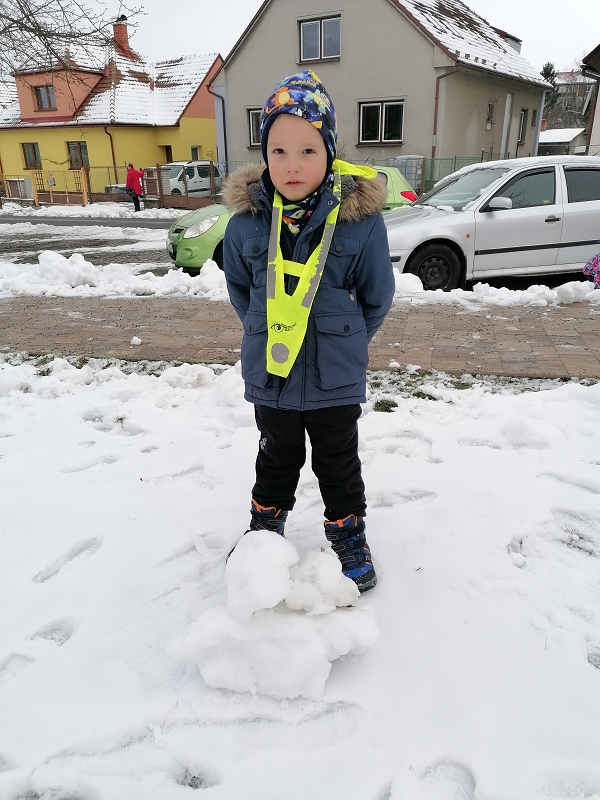 Berušky mají rádi sníh