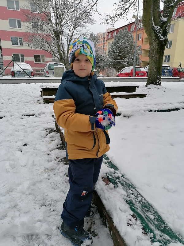 Berušky mají rádi sníh