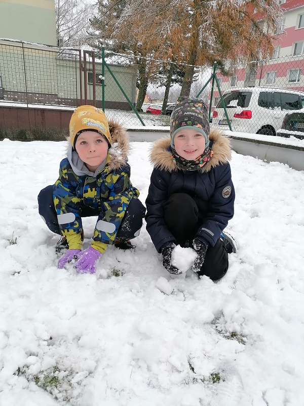 Berušky mají rádi sníh