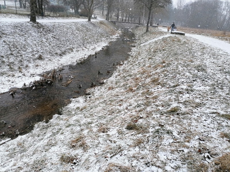 Berušky se učí o lidském těle