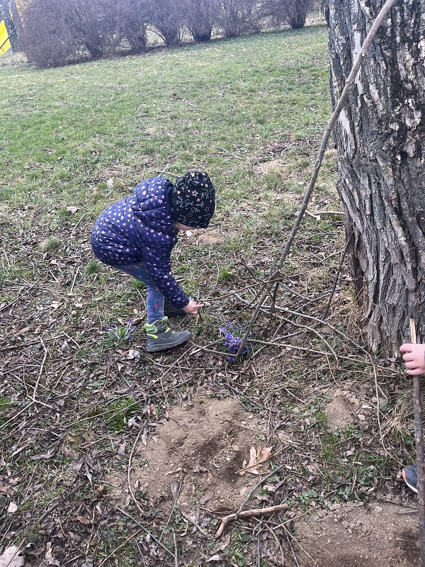 Probouzení broučků 2025