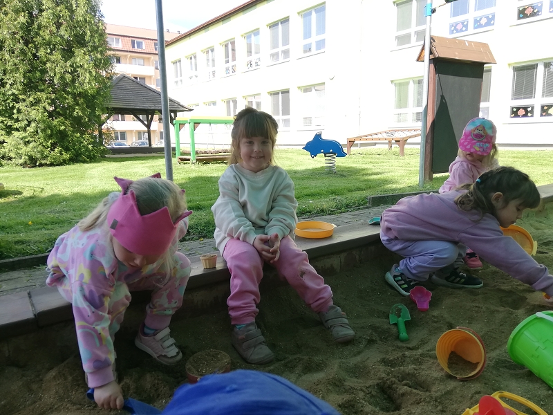 Myšky poprvé na písku