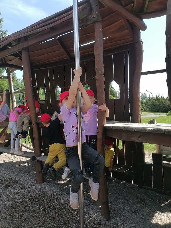 Výlet na Borovinku