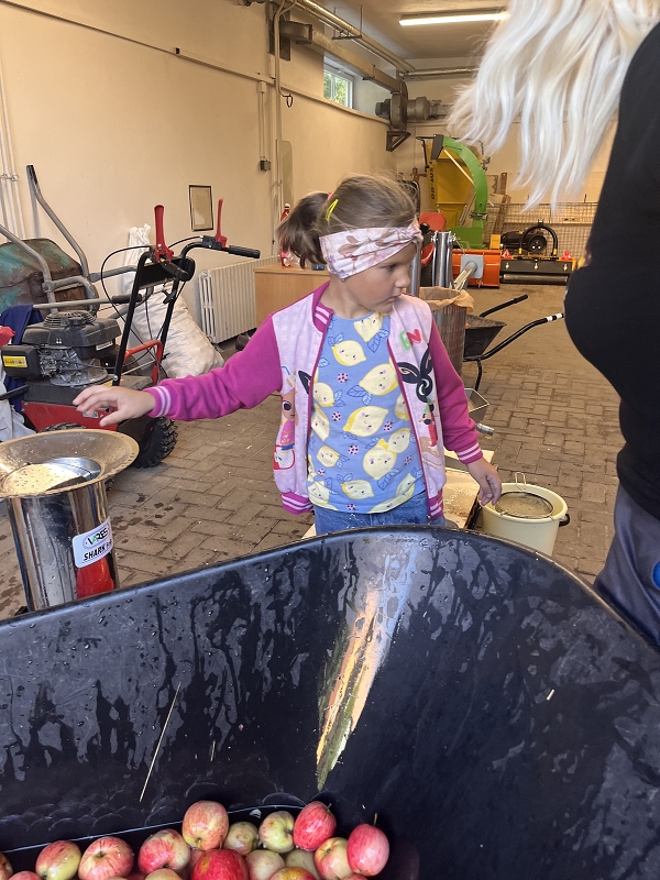 Moštování s předškoláky