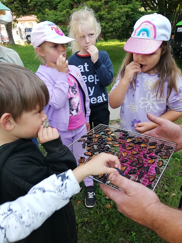 Moštování s předškoláky