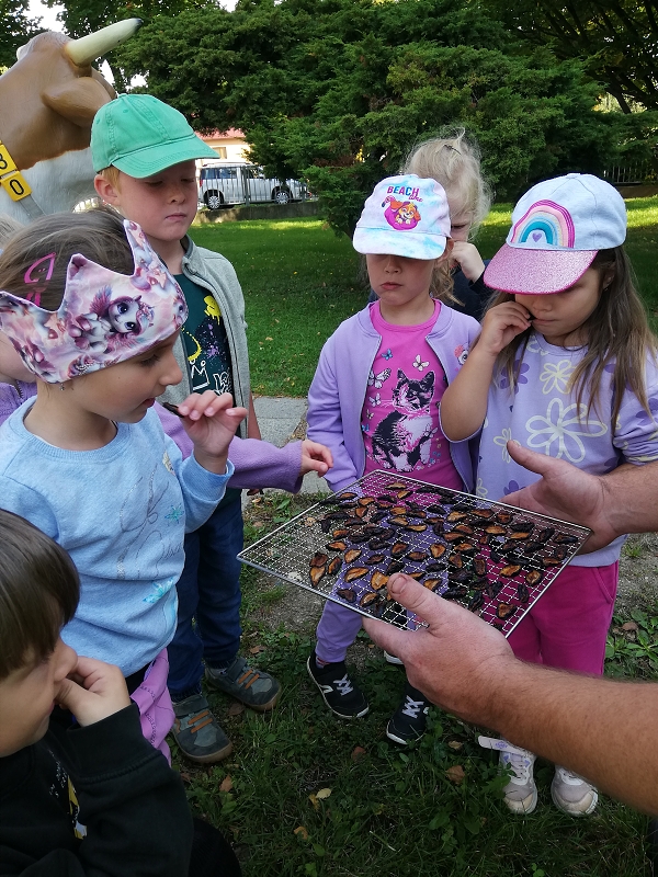 Moštování s předškoláky