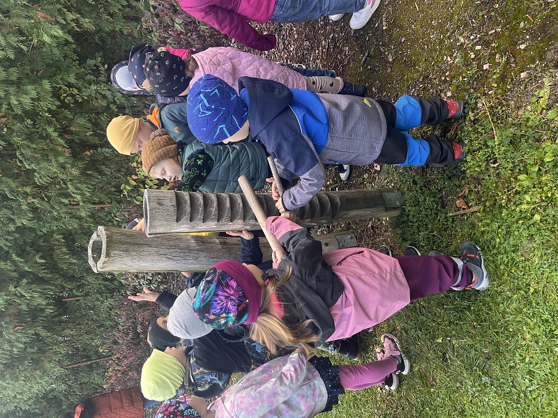 Předškoláci v Kamélii