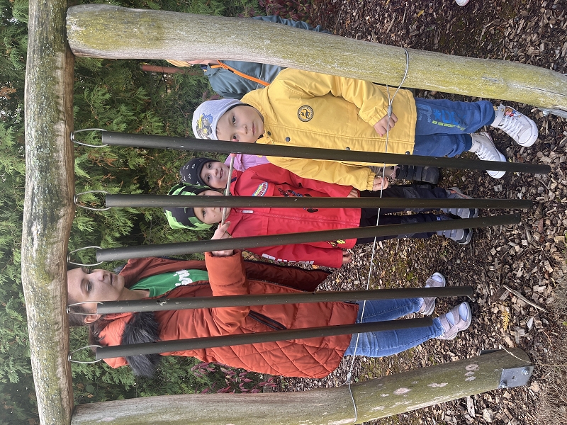 Předškoláci v Kamélii