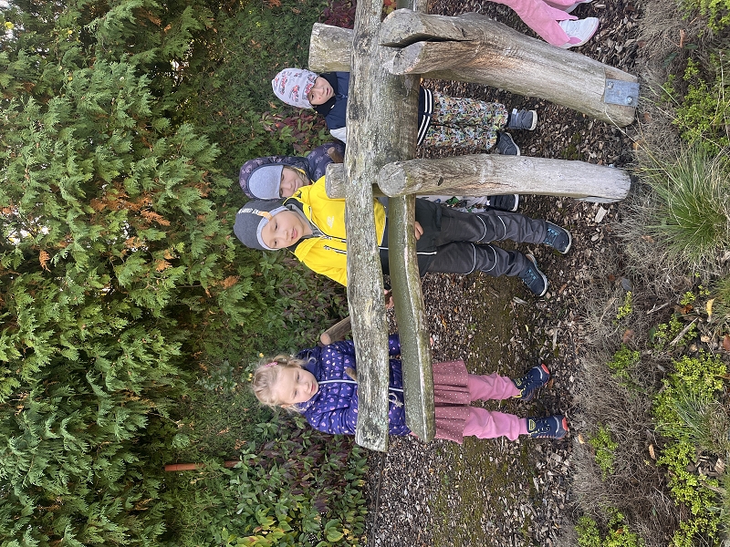 Předškoláci v Kamélii