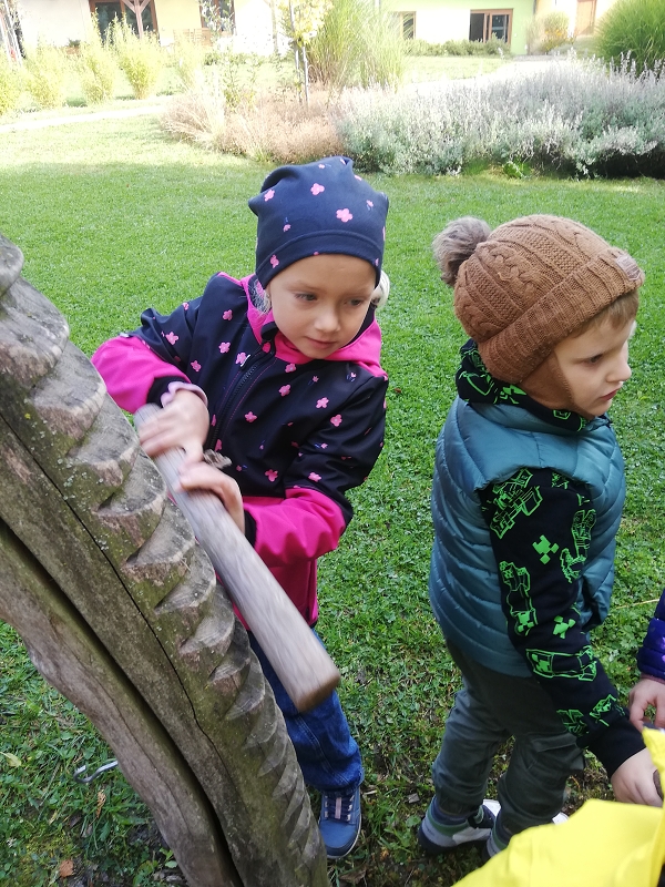 Předškoláci v Kamélii