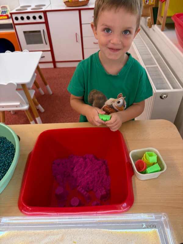 Známe město, kde bydlíme - Koťátka