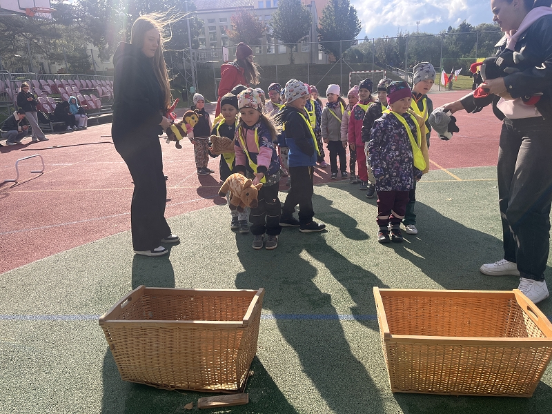 Berušky na atletických závodech