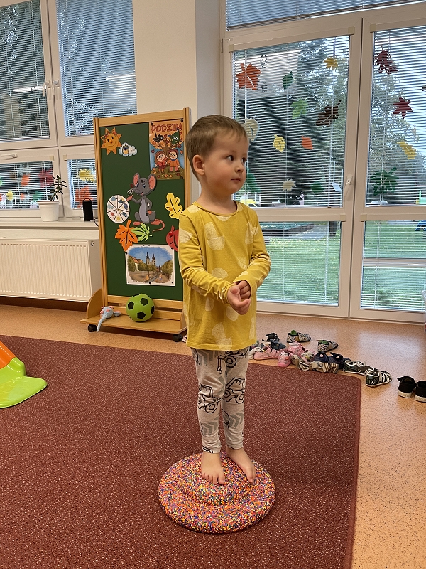 Myšky - cvičí, na překážkové dráze