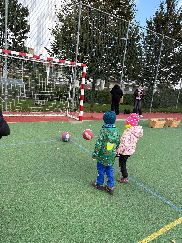 O pohár starosty města - Koťátka