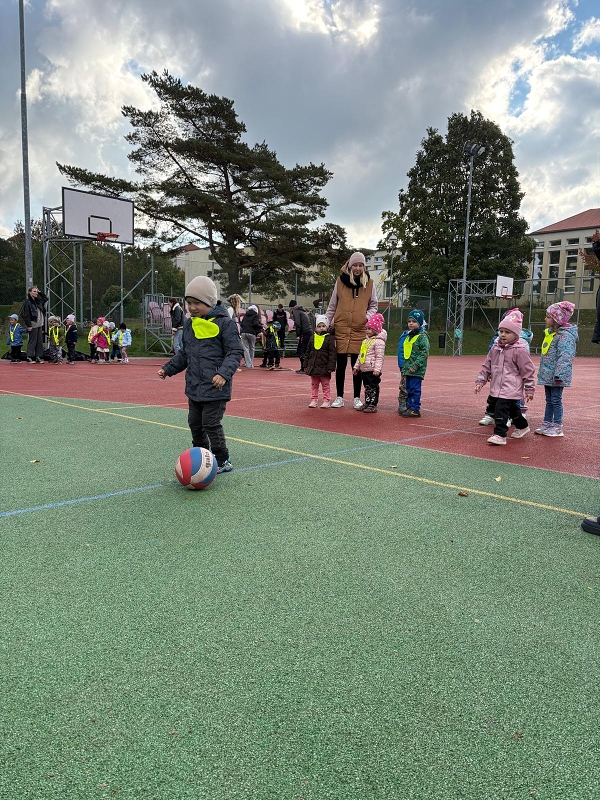 O pohár starosty města - Koťátka