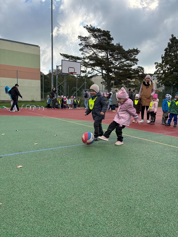 O pohár starosty města - Koťátka