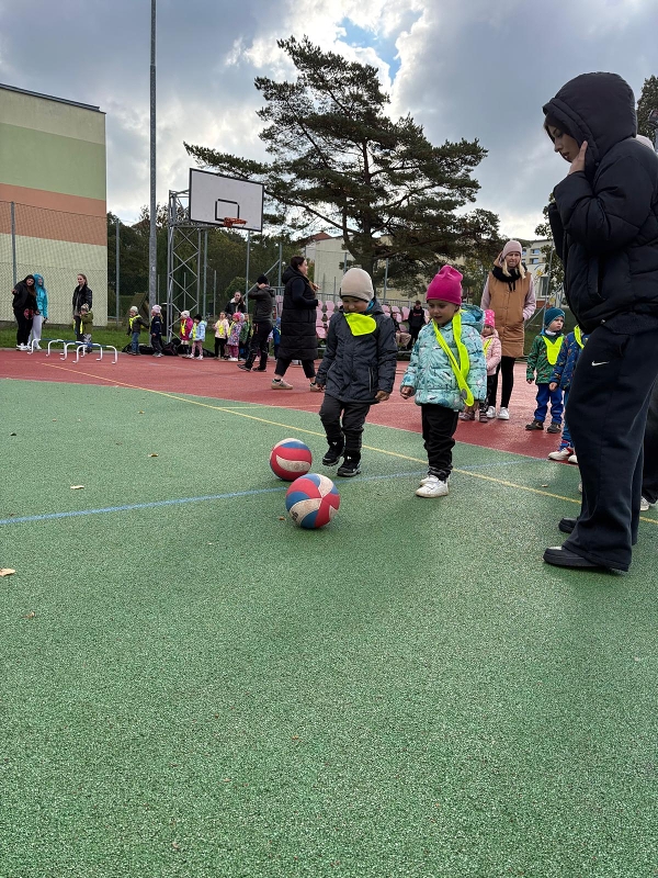 O pohár starosty města - Koťátka