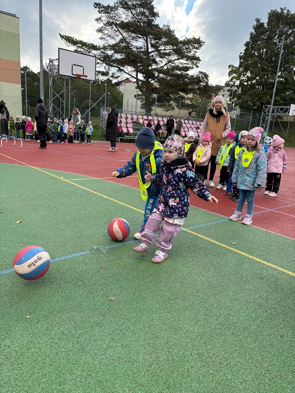 O pohár starosty města - Koťátka