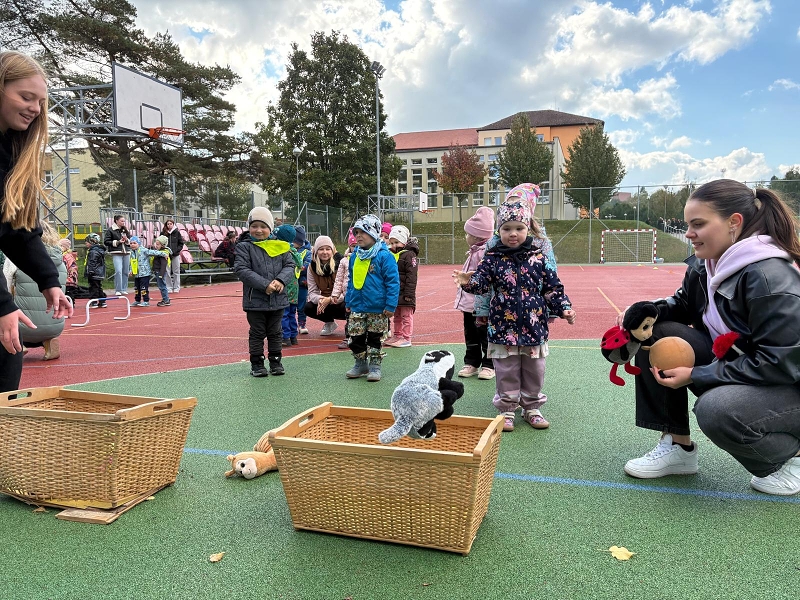 O pohár starosty města - Koťátka