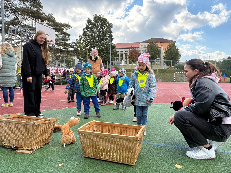 O pohár starosty města - Koťátka