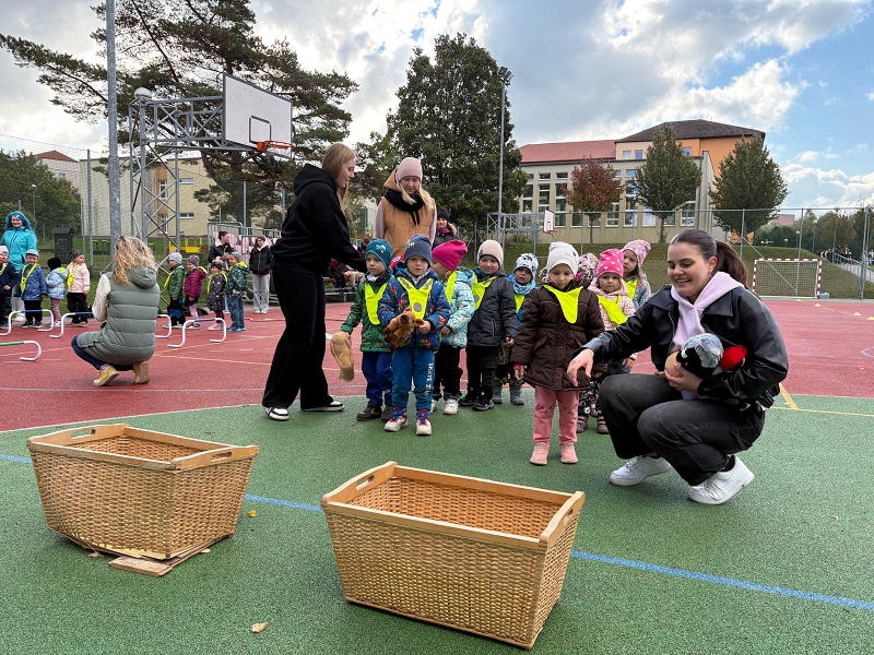 O pohár starosty města - Koťátka