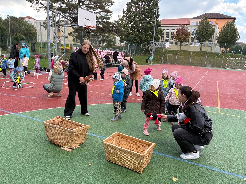 O pohár starosty města - Koťátka