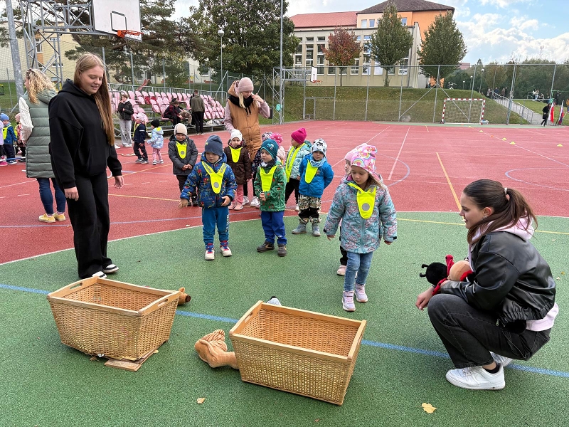 O pohár starosty města - Koťátka