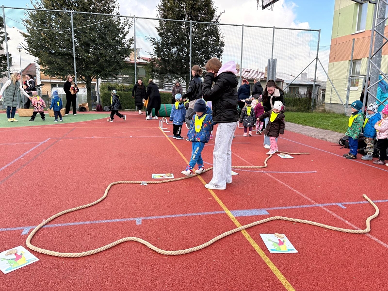 O pohár starosty města - Koťátka