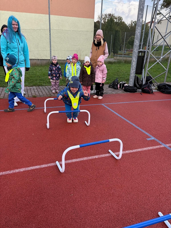 O pohár starosty města - Koťátka