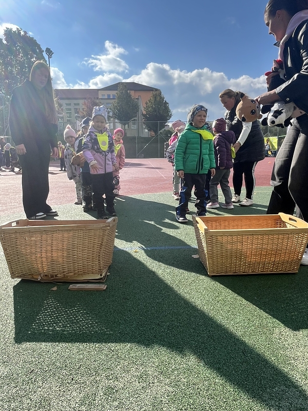 Zajíčci na atletických závodech