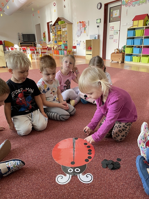 Myšky - Poznáváme broučky