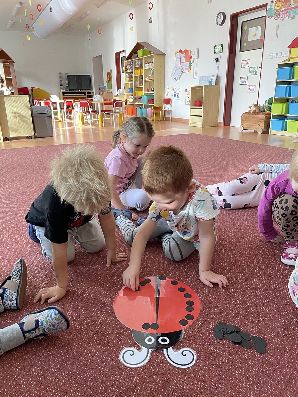 Myšky - Poznáváme broučky