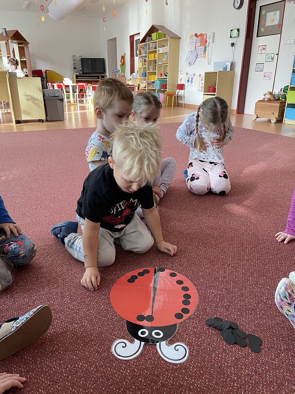 Myšky - Poznáváme broučky