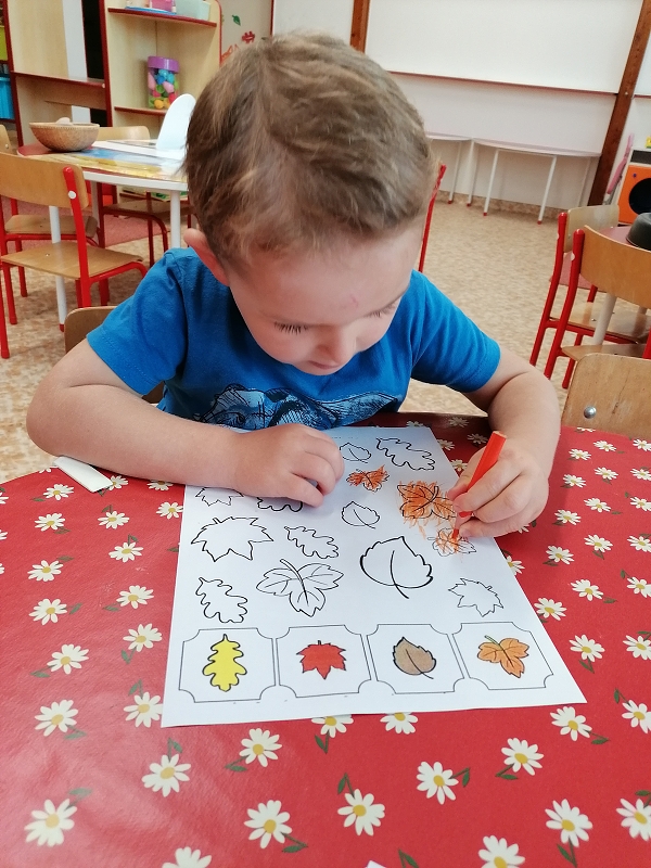 Barevný podzim v Koťátkách